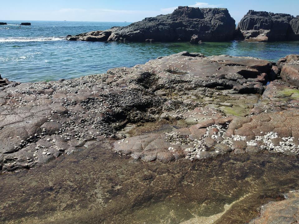 Photo of St. Mary's Island - A Geo Tourism Experience by Hemangi Narvekar