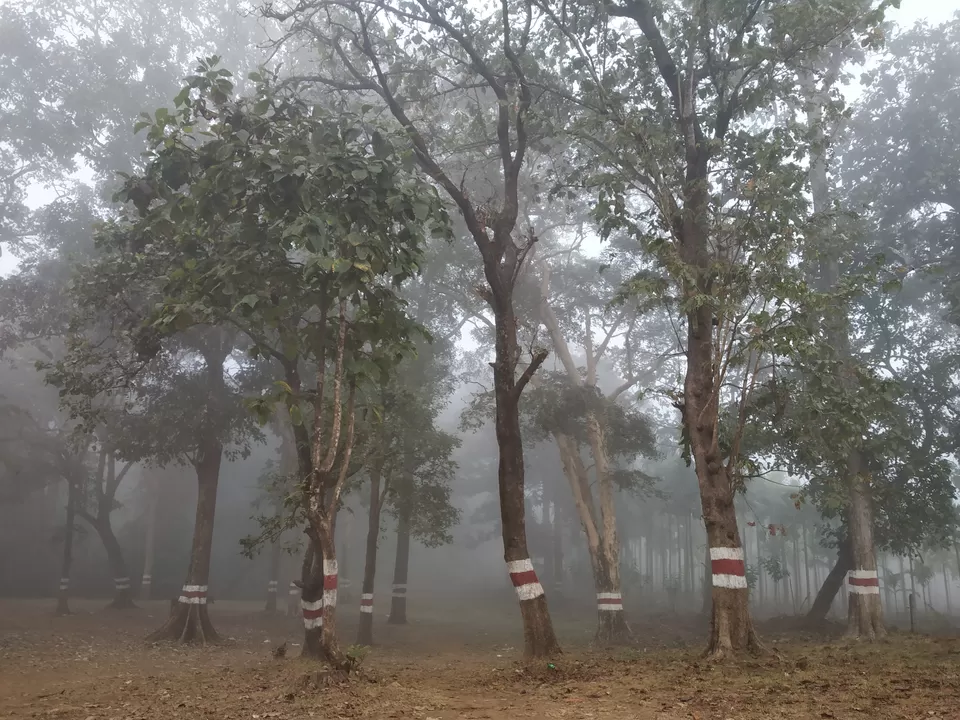 Photo of Moulangi Eco Park, Dandeli, Karnataka, India by Hemangi Narvekar