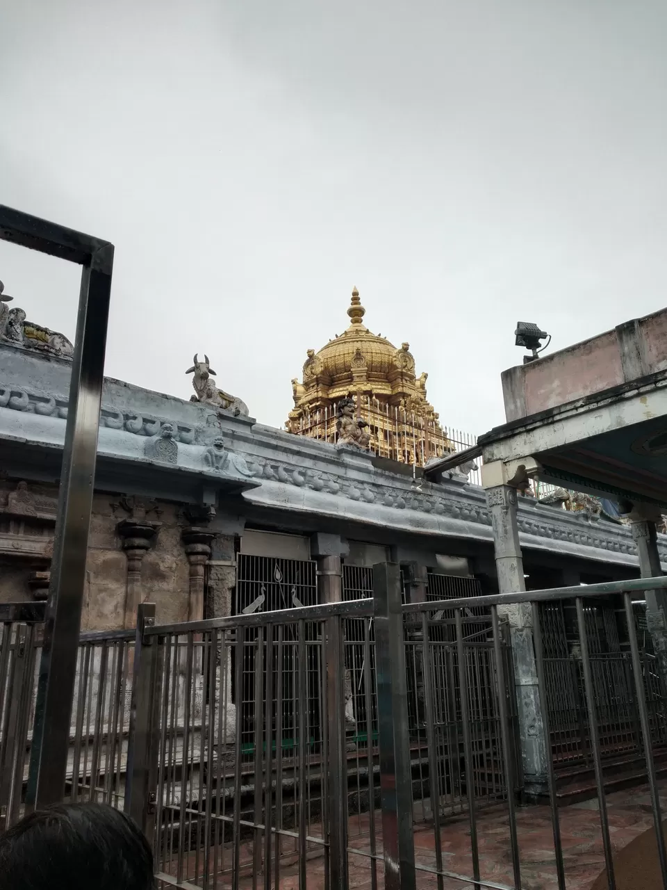 Photo of Arulmigu Dhandayuthapani Swamy Temple, Giri Veethi, Palani, Tamil Nadu, India by Hemangi Narvekar