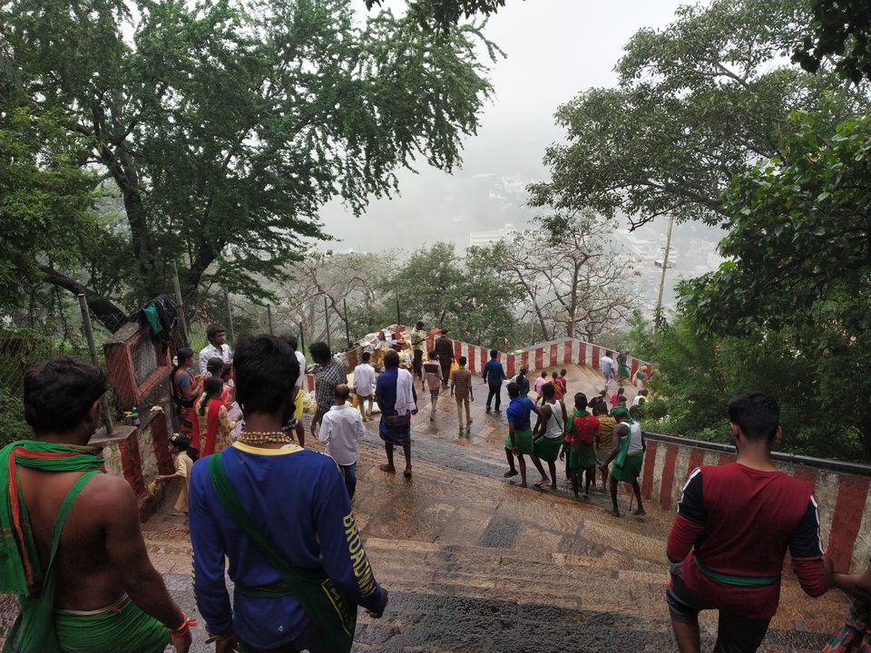 Photo of Don’t miss out on India’s Green Carpet - Pollachi & Valparai by Hemangi Narvekar