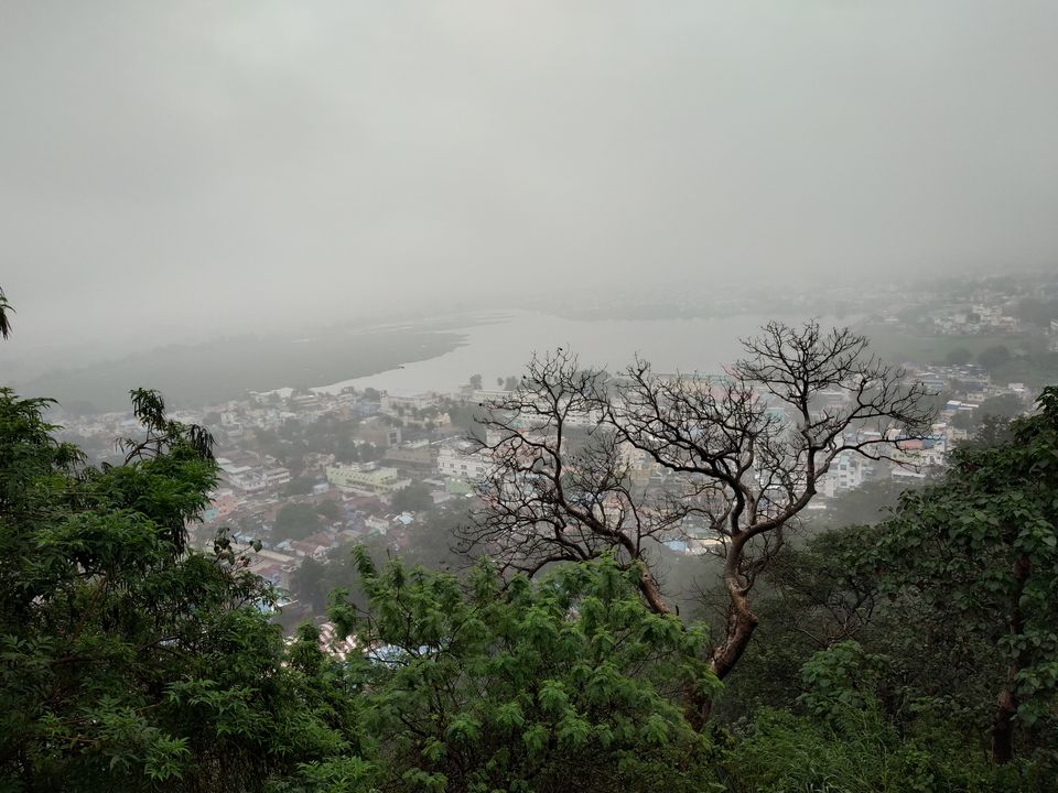 Photo of Don’t miss out on India’s Green Carpet - Pollachi & Valparai by Hemangi Narvekar