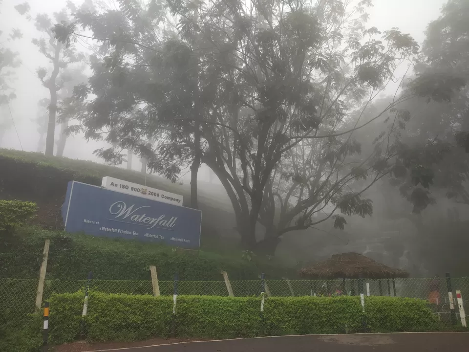 Photo of Waterfall Tea Estate, State Highway 78, Valparai, Tamil Nadu, India by Hemangi Narvekar