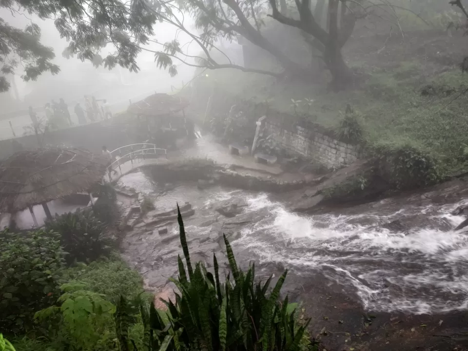 Photo of Waterfall Tea Estate, State Highway 78, Valparai, Tamil Nadu, India by Hemangi Narvekar