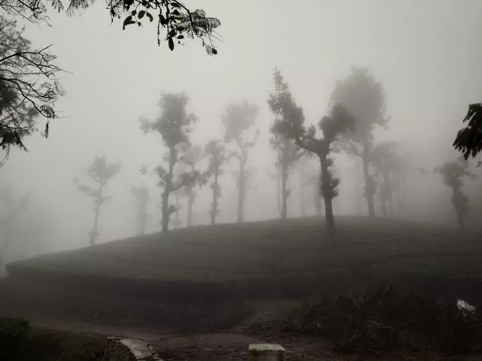 Photo of Waterfall Tea Estate, State Highway 78, Valparai, Tamil Nadu, India by Hemangi Narvekar