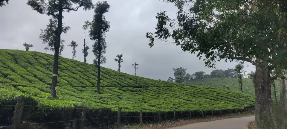 Photo of Hill Station, Bus Stand Road, Valparai, Tamil Nadu, India by Hemangi Narvekar