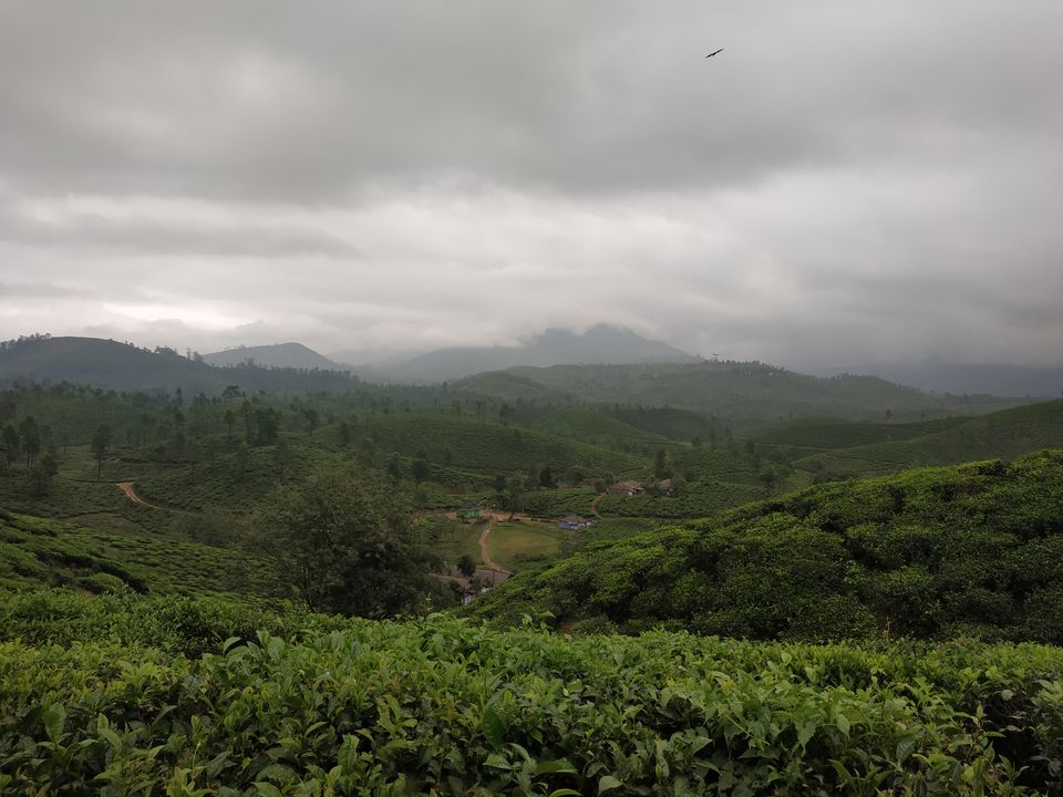 Photo of Don’t miss out on India’s Green Carpet - Pollachi & Valparai by Hemangi Narvekar