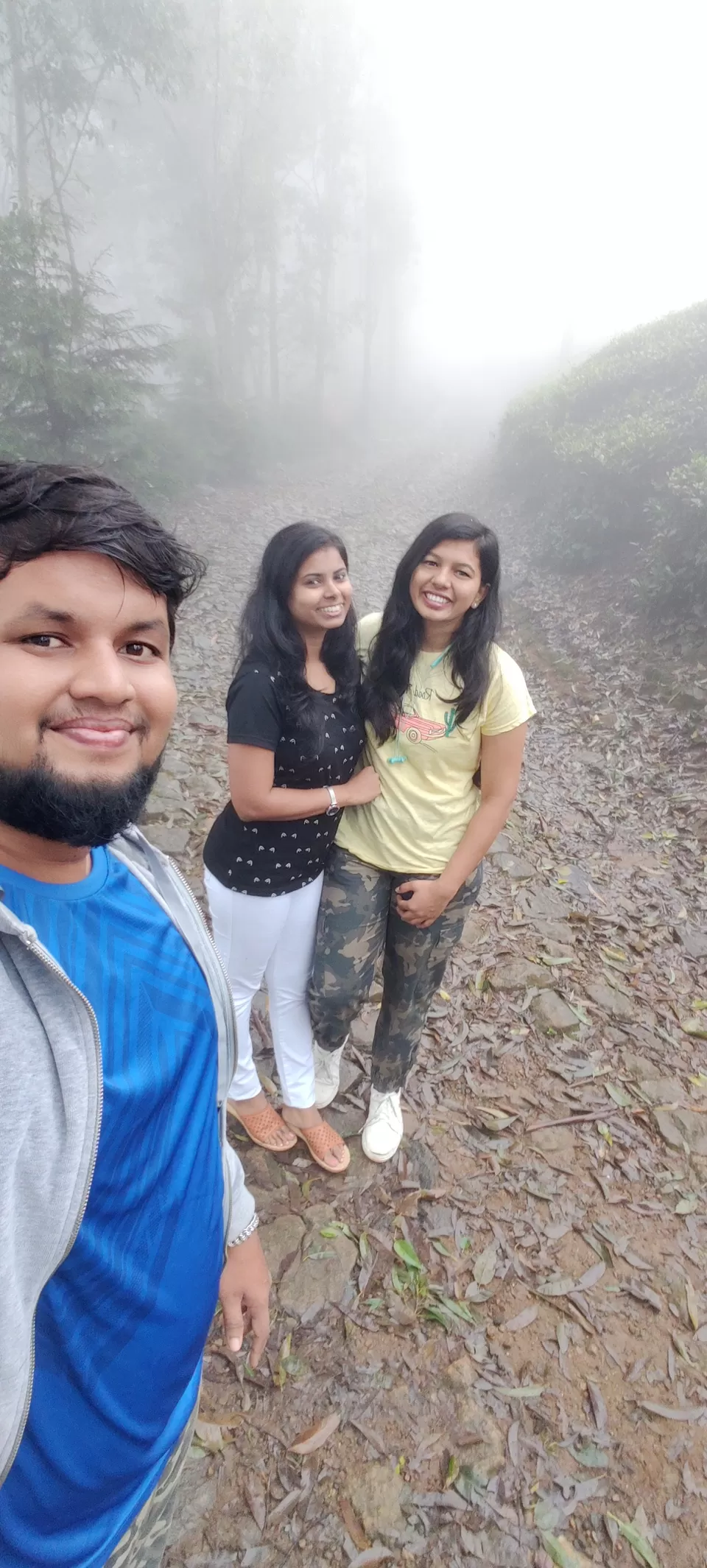 Photo of Waterfall Tea Estate, State Highway 78, Valparai, Tamil Nadu, India by Hemangi Narvekar