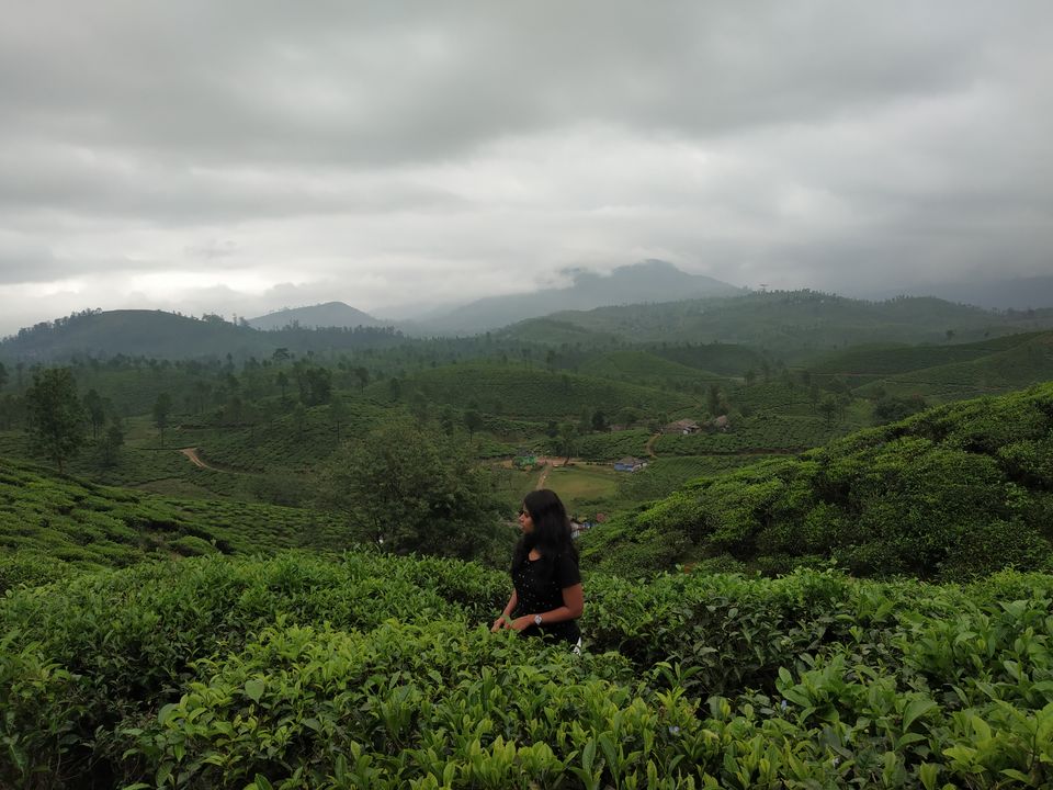 Photo of Don’t miss out on India’s Green Carpet - Pollachi & Valparai by Hemangi Narvekar