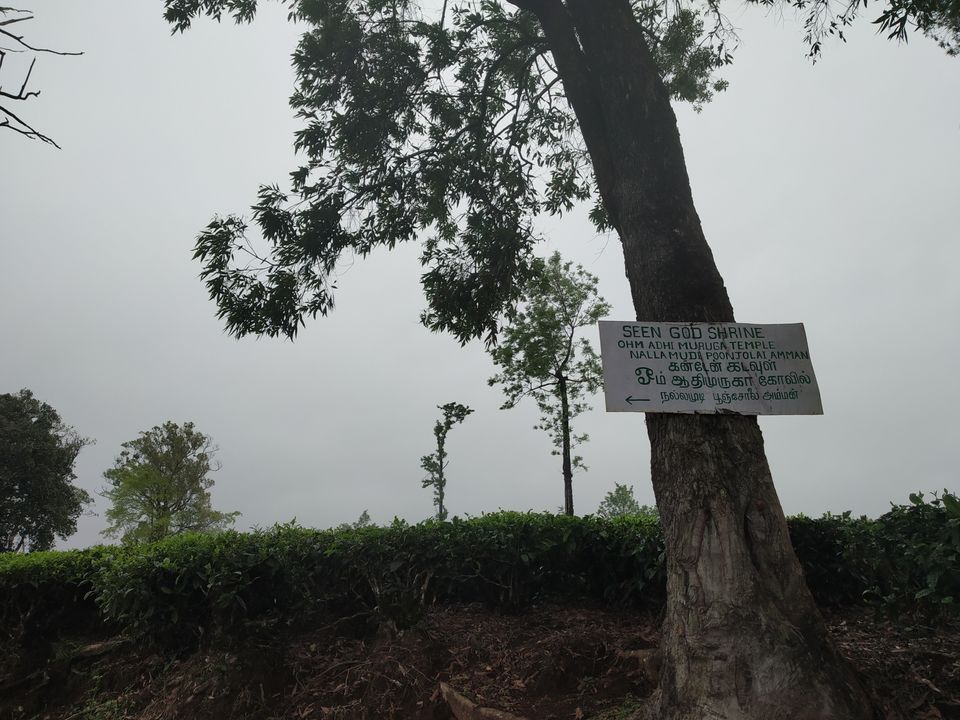 Photo of Don’t miss out on India’s Green Carpet - Pollachi & Valparai by Hemangi Narvekar