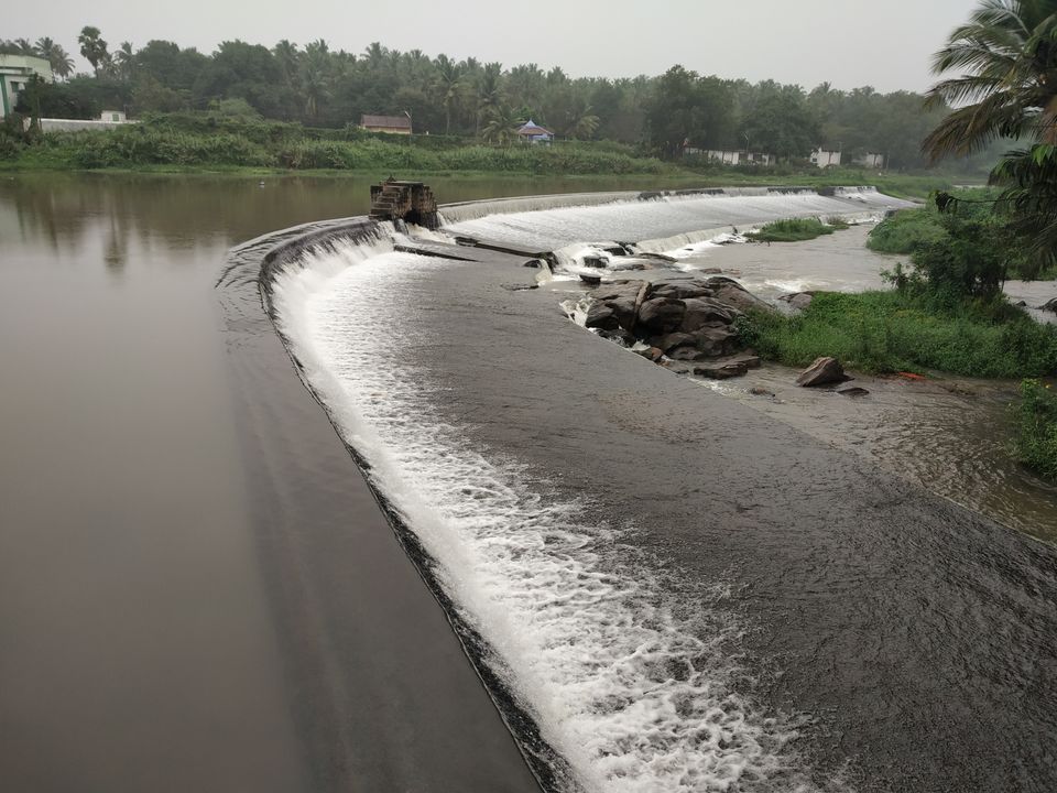 Photo of Don’t miss out on India’s Green Carpet - Pollachi & Valparai by Hemangi Narvekar