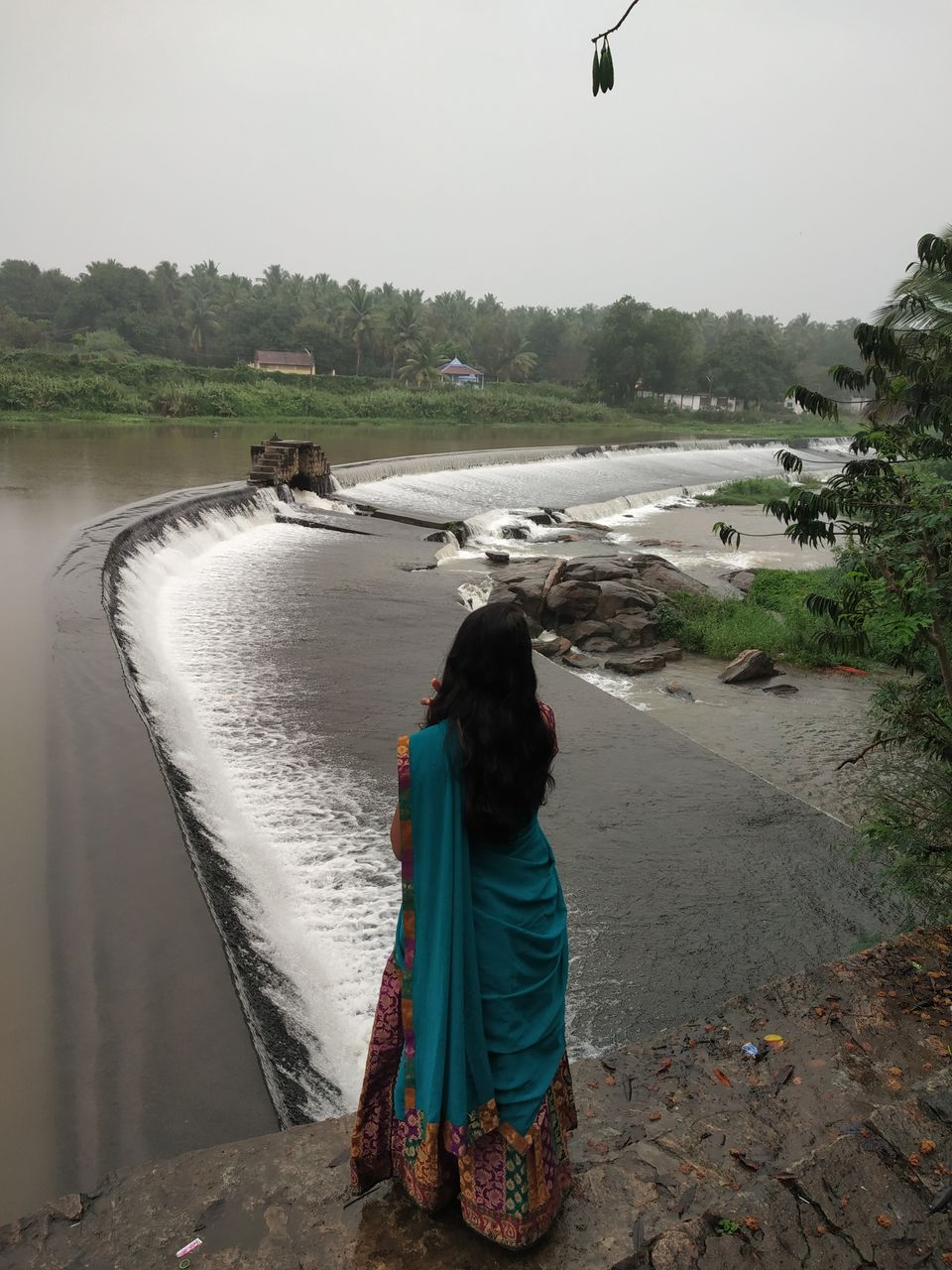 Photo of Don’t miss out on India’s Green Carpet - Pollachi & Valparai by Hemangi Narvekar