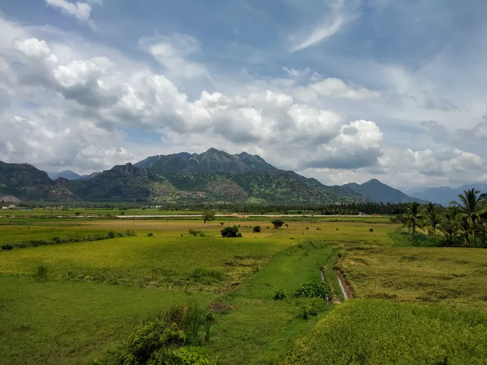 Photo of Nagercoil, Tamil Nadu, India by Hemangi Narvekar