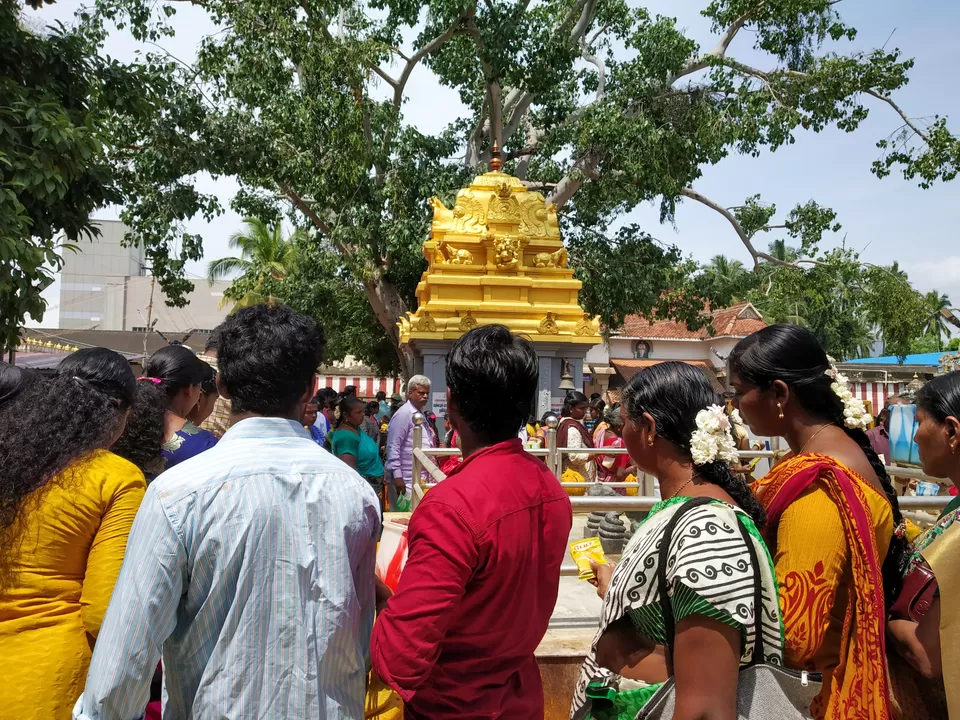 Photo of Visit the Ancient Nagaraja Temple to know the story of Nagercoil by Hemangi Narvekar