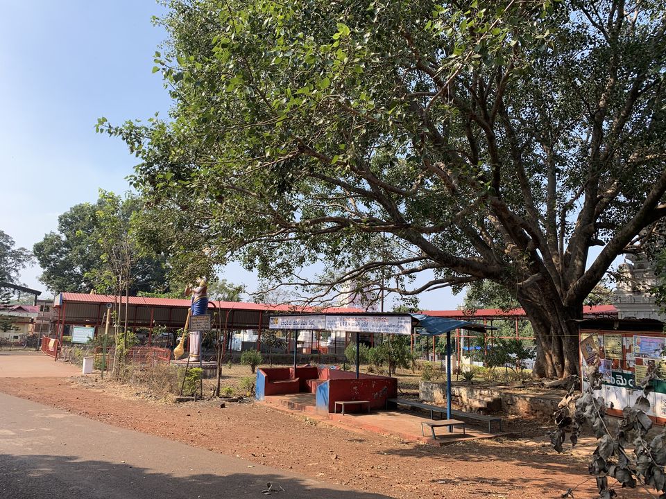 Photo of An impromptu ride to Ananthagiri Hills by Praga