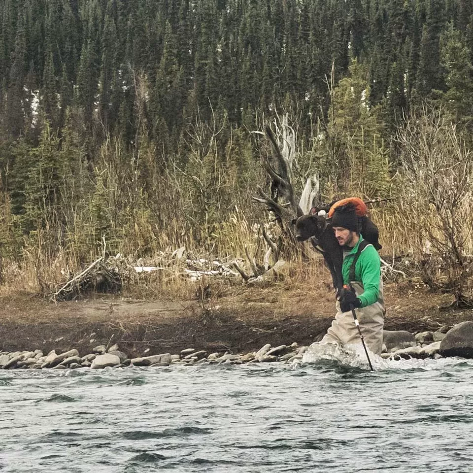 Photo of Healy, Healy, AK, USA by Dwayne Parton