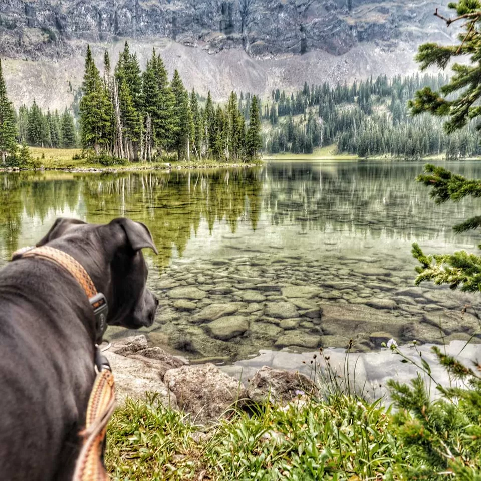Photo of Hyalite Lake, Hyalite Lake, Montana 59047, USA by Dwayne Parton
