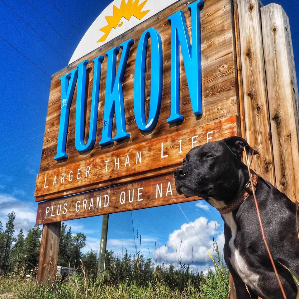 Photo of Yukon, Yukon, YT, Canada by Dwayne Parton