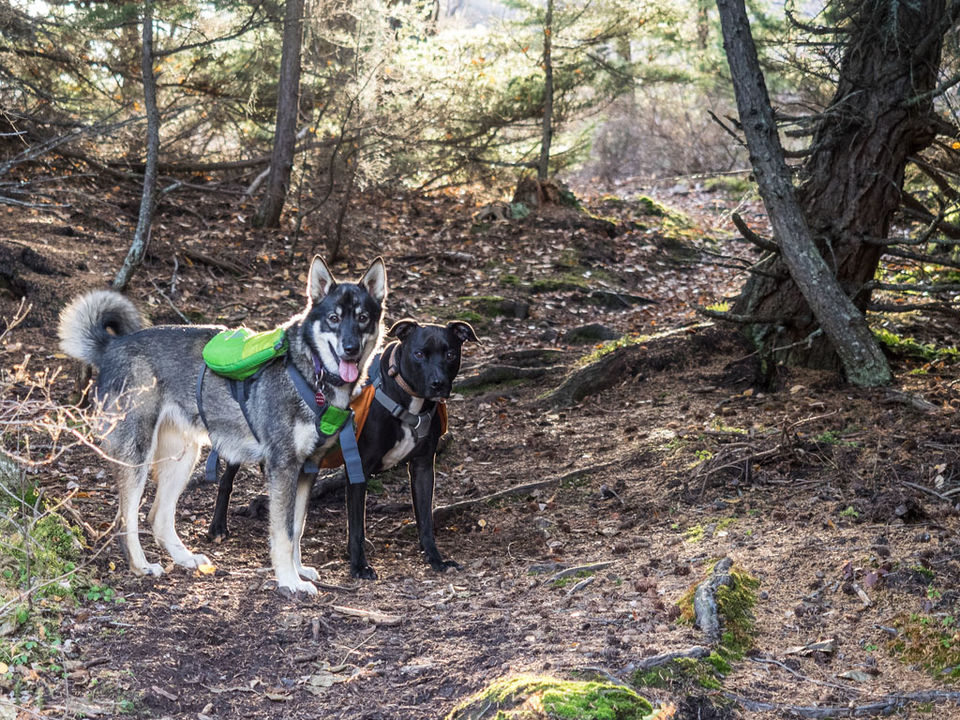 Photo of Hiking the Crow Pass National Historic Trail 2/18 by Dwayne Parton