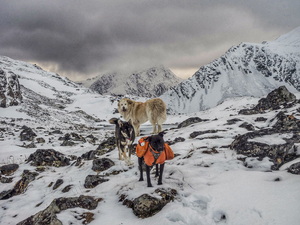 Photo of Hiking the Crow Pass National Historic Trail 3/18 by Dwayne Parton