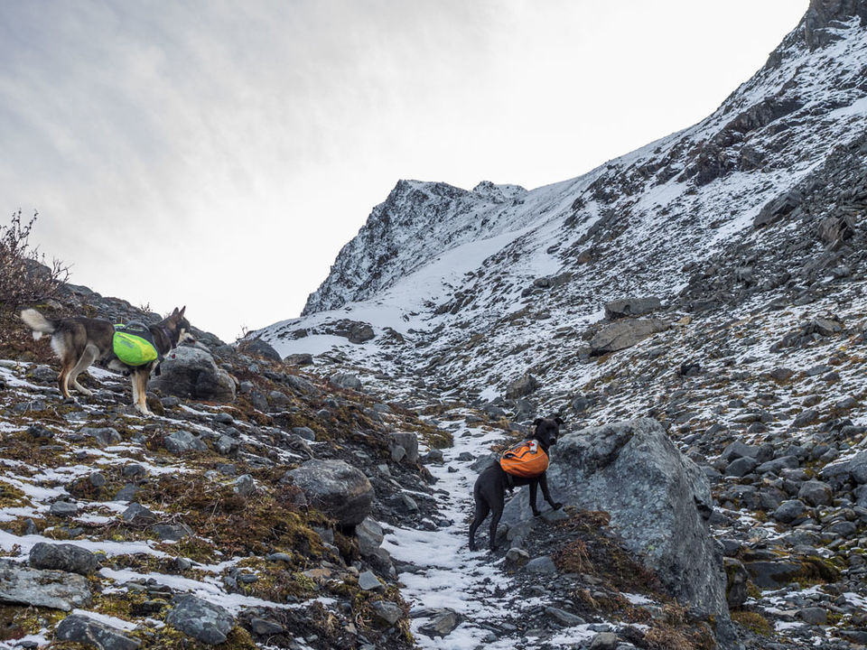 Photo of Hiking the Crow Pass National Historic Trail 12/18 by Dwayne Parton