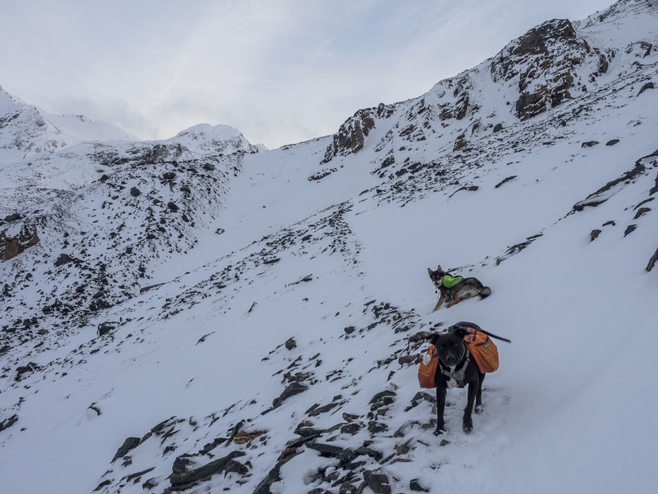 Photo of Hiking the Crow Pass National Historic Trail 14/18 by Dwayne Parton
