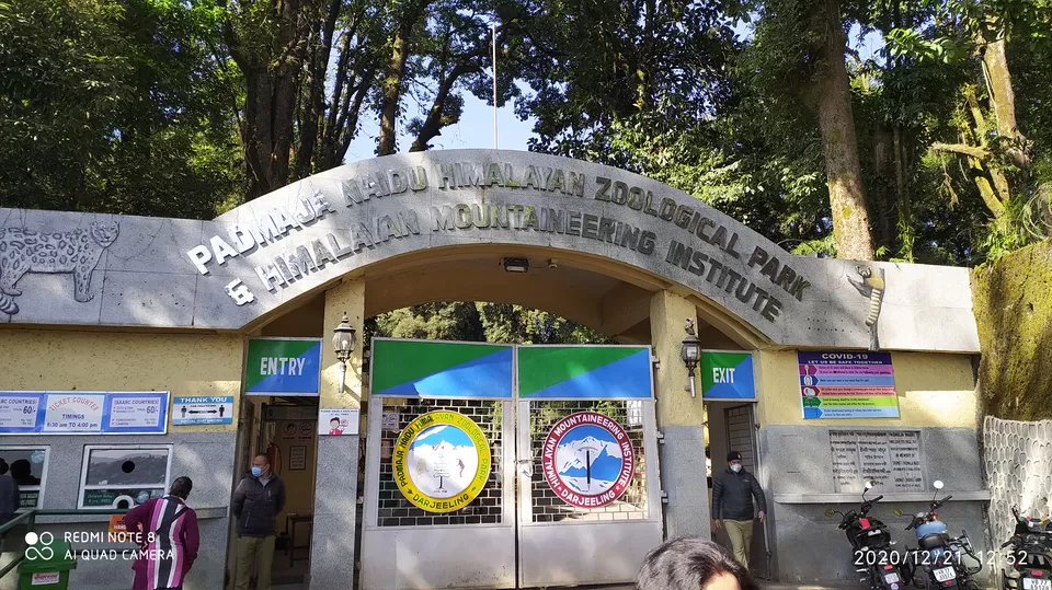Photo of Padmaja Naidu Himalayan Zoological Park, Darjeeling - Jorethang Road, near Birch Hill Resort, Jawahar Parbat, Darjeeling, West Bengal, India by Rajganesh