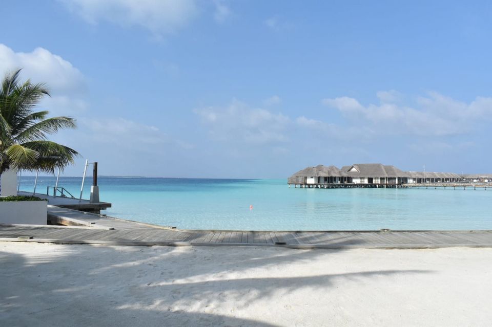 Photo of Maldives (New Year 2020) π 6/6 by Tanya Singh