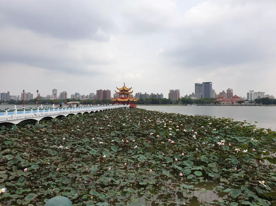 Photo of Lotus Pond, Zuoying District, Kaohsiung City, Taiwan by Quk_travel
