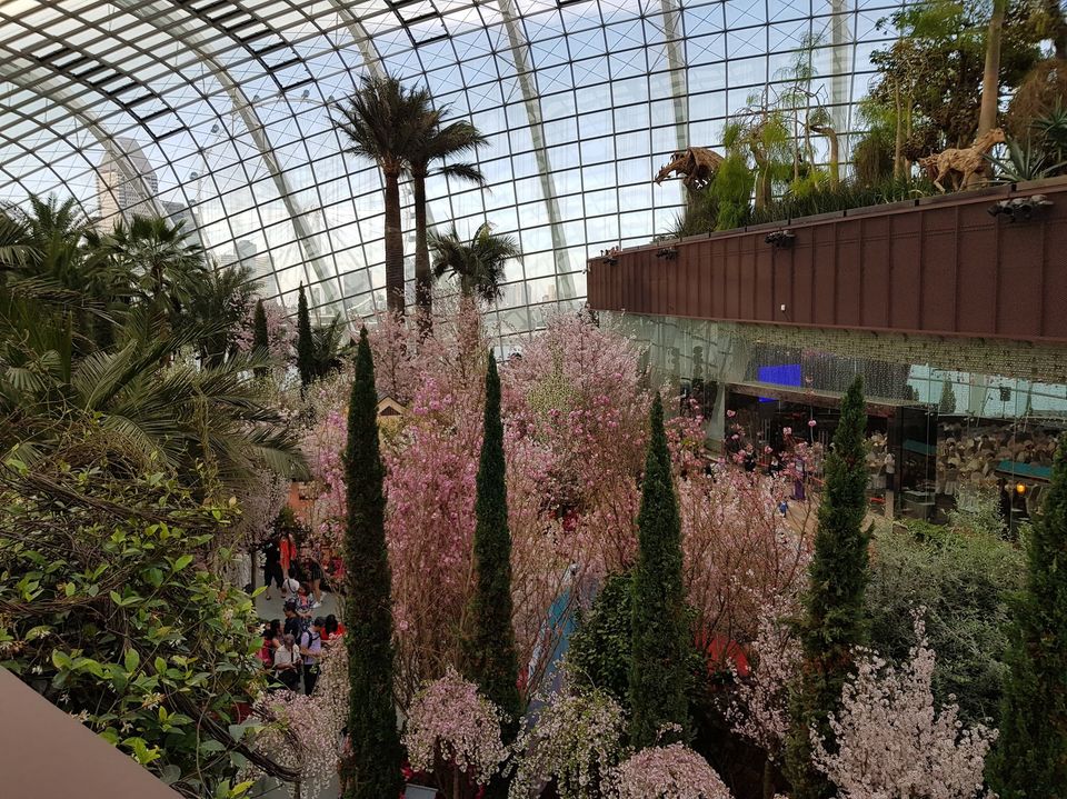 Photo of 48-hours in Singapore by Tanya Singh
