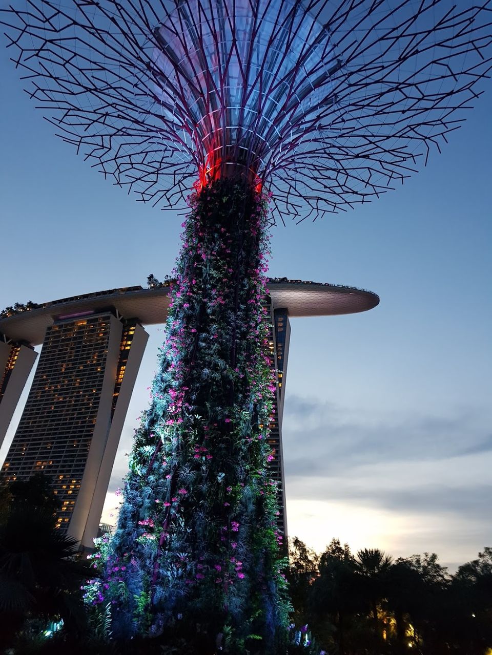 Photo of 48-hours in Singapore by Tanya Singh