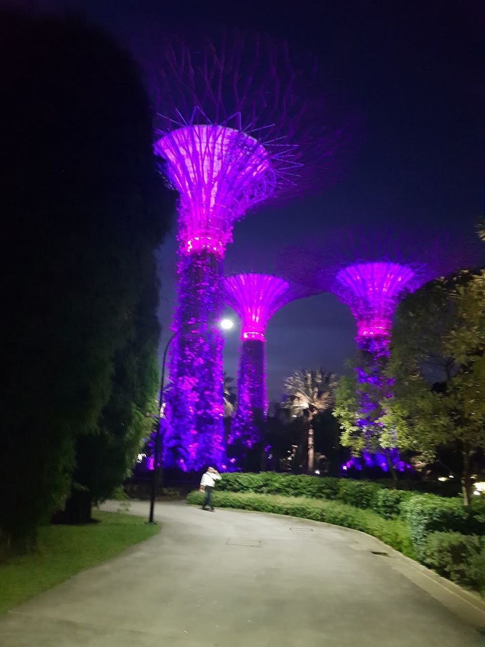Photo of 48-hours in Singapore by Tanya Singh