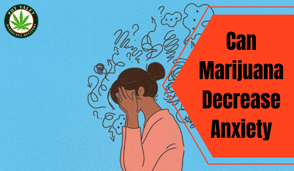 Photo of Can Marijuana Decrease Anxiety by Dorothy Watson
