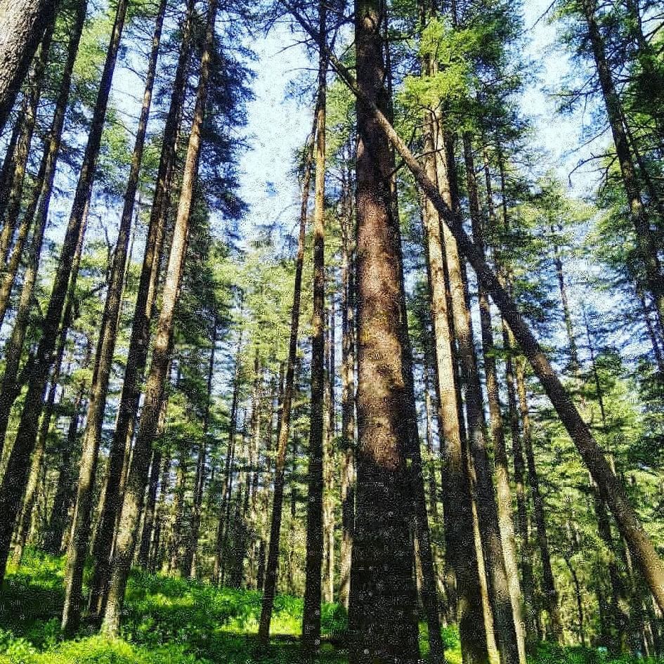 Photo of My trip to a small town called Lansdowne 6/10 by Dev | The Keen Tourist