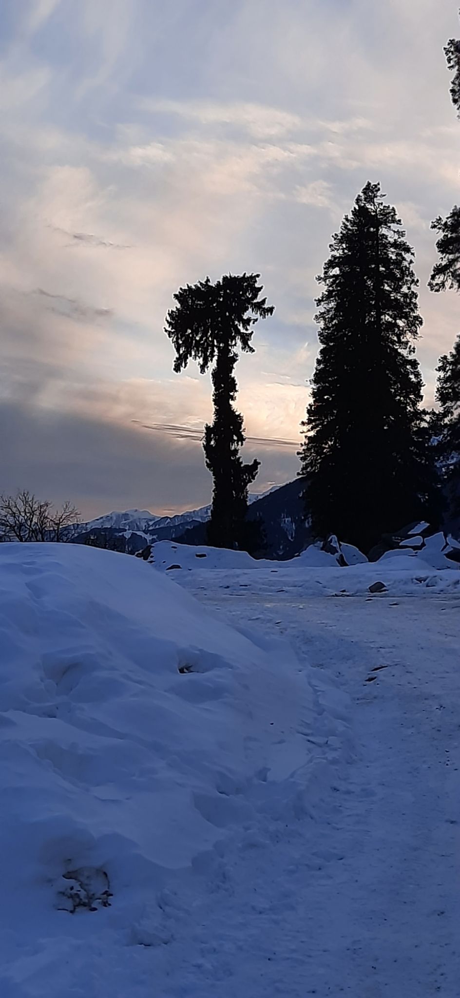 Photo of Sethan by Priyanka Sutar