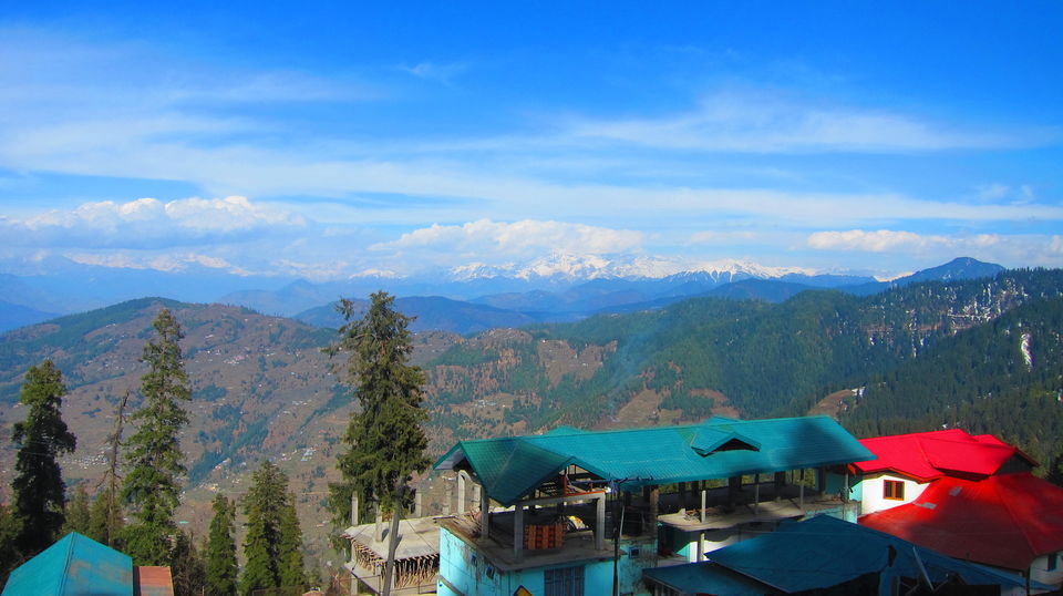 Photo of Narkanda: Where it all Began! 4/7 by vini