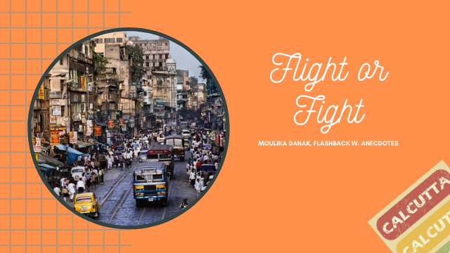 Photo of Flight or Fight! (About a bizarre experience in Calcutta) by Moulika Danak