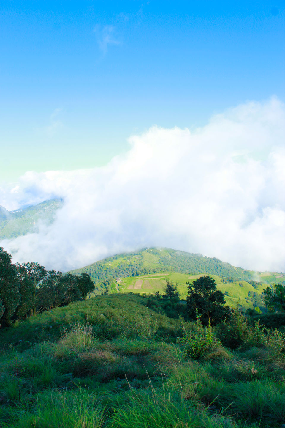 Photo of An Idol Day Trek in Mussoorie: Bhadraj Temple Trek 3/14 by Travel Fly