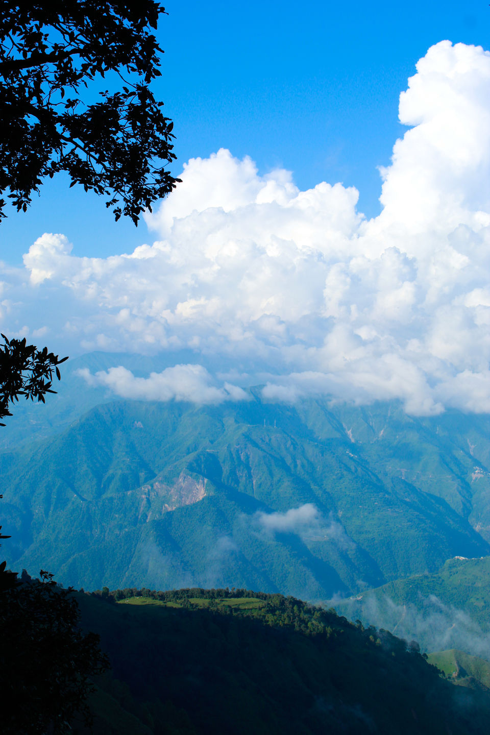 Photo of An Idol Day Trek in Mussoorie: Bhadraj Temple Trek 4/14 by Travel Fly
