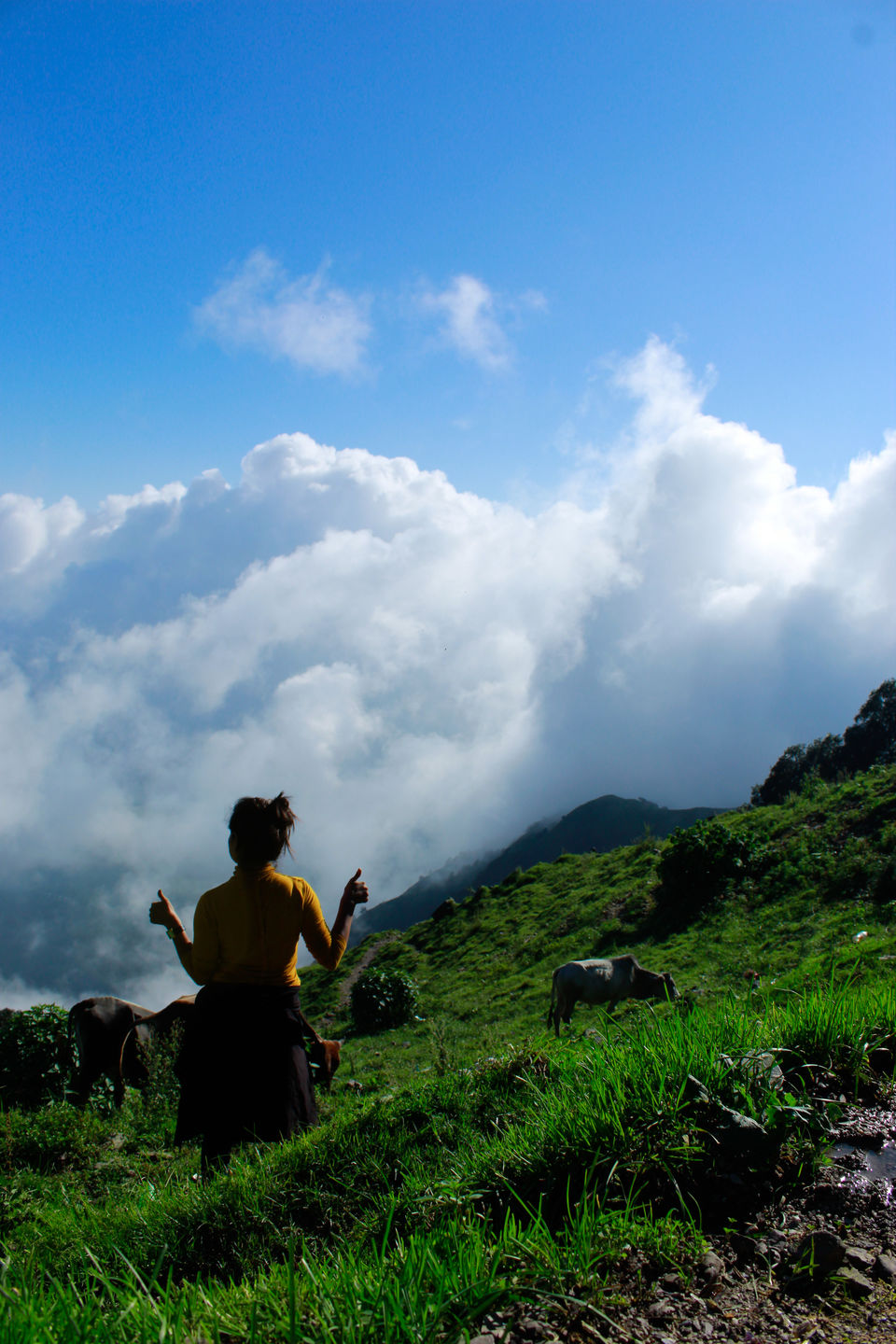 Photo of An Idol Day Trek in Mussoorie: Bhadraj Temple Trek 5/14 by Travel Fly