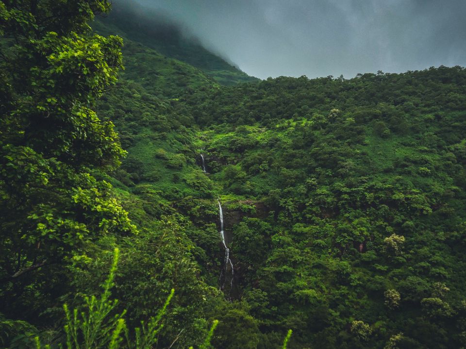 Sinhgad fort Trek Pune, Maharashtra - Tripoto