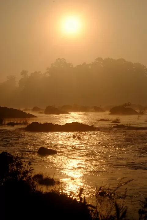 Photo of Hemalkasa, Maharashtra, India by aniket sase