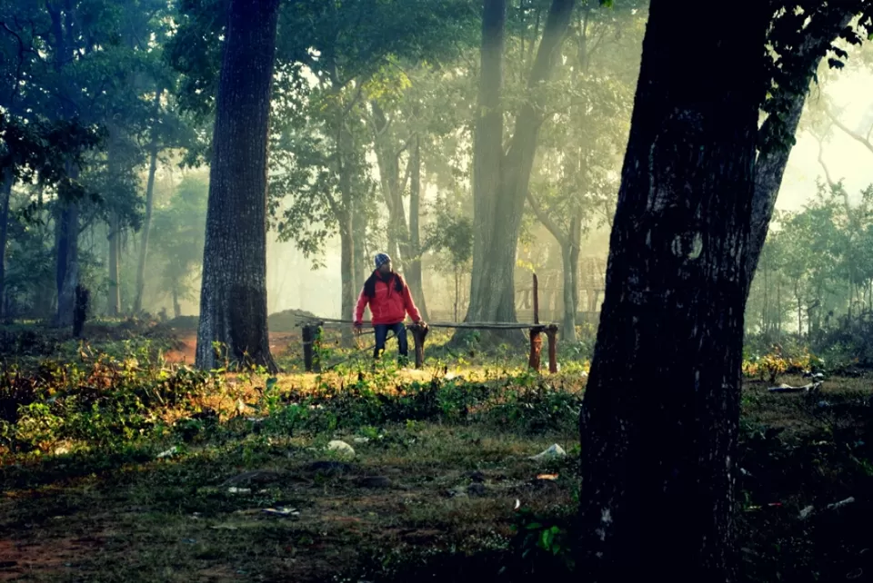 Photo of Hemalkasa, Maharashtra, India by aniket sase