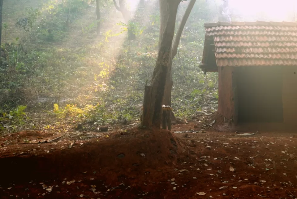 Photo of Hemalkasa, Maharashtra, India by aniket sase