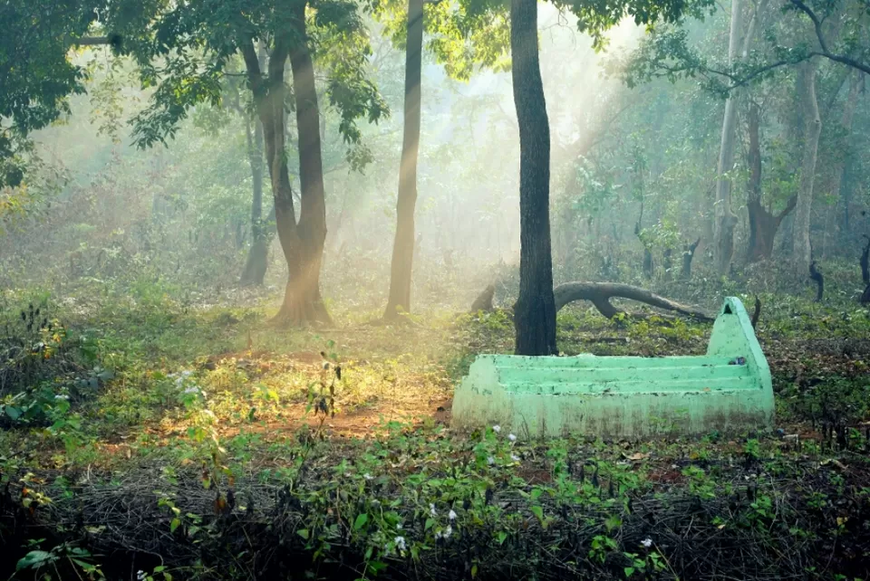 Photo of Hemalkasa, Maharashtra, India by aniket sase