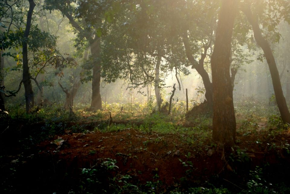 Hemalkasa - Ek Safar - Tripoto