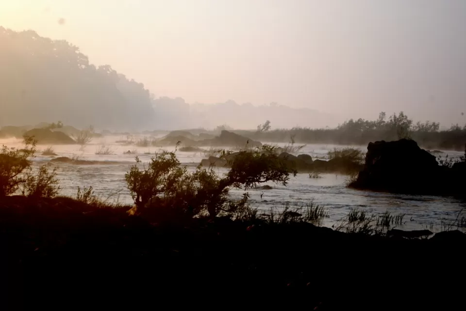 Photo of Hemalkasa, Maharashtra, India by aniket sase