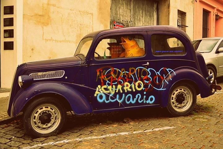 Photo of Trip to Uruguay 1/26 by Ravi Goyal