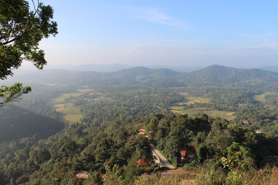 Photo of Spice – Coffee trails in Coorg, Karnataka 3/25 by Vineet Kumar