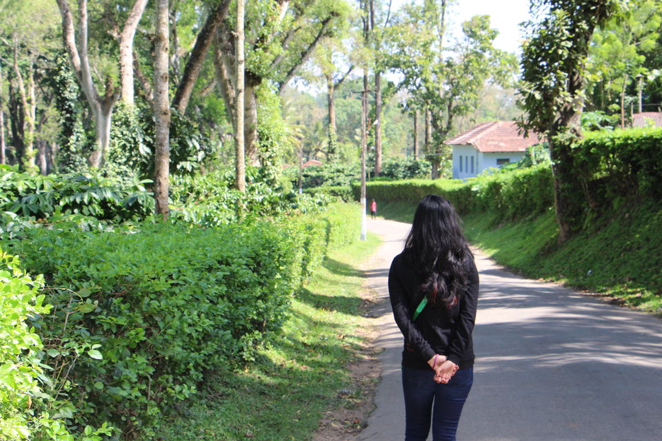Photo of Spice – Coffee trails in Coorg, Karnataka 12/25 by Vineet Kumar