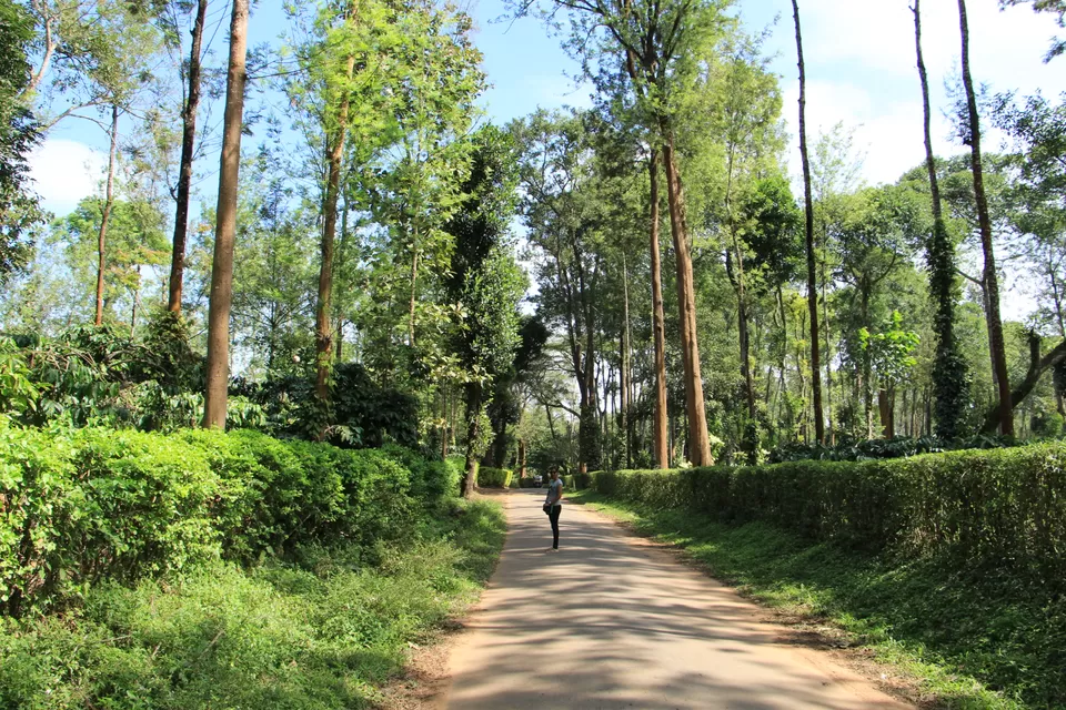 Photo of Polibetta by Vineet Kumar